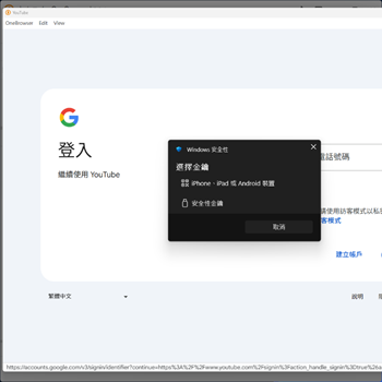 圖片的替代文字